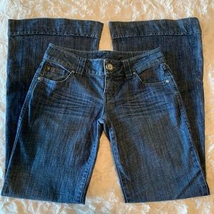 Level 99 Anthropology Flare Jeans size 26